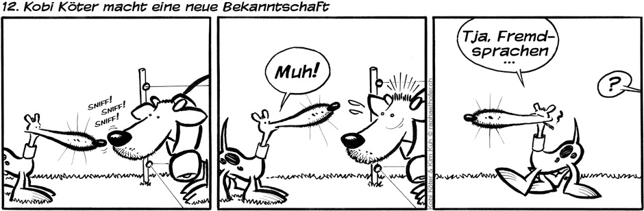 12. Kobi Köter macht eine neue Bekanntschaft