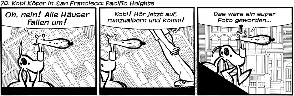 70. Kobi Köter in San Francisco: Pacific Heights