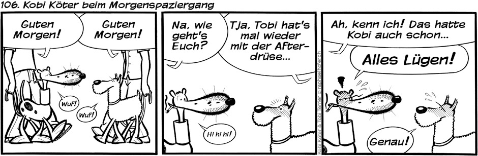 106. Kobi Köter beim Morgenspaziergang