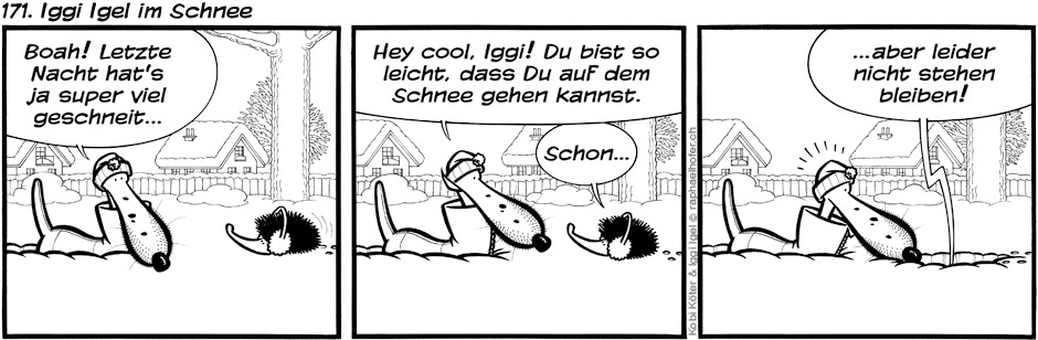 171. Iggi Igel im Schnee