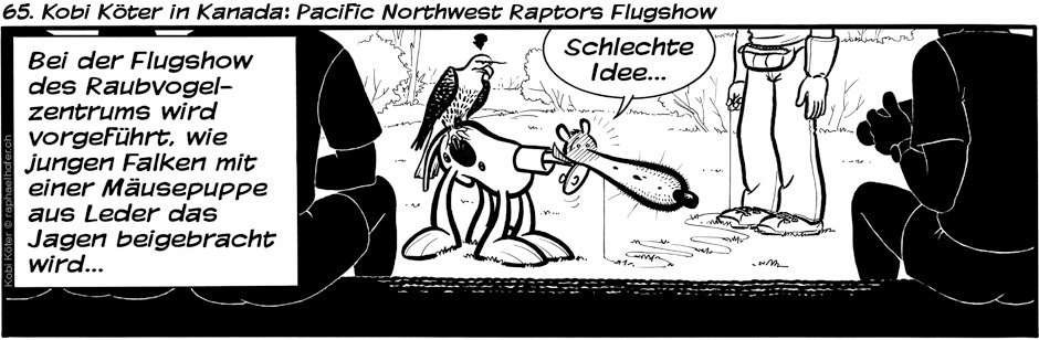 65. Kobi Köter in Kanada: Pacific Northwest Raptors Flugshow